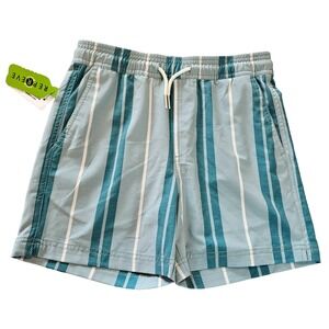 Tilly's RSQ Swim Shorts Men's Small No Lining Teal Green White Retro Stripe NWT